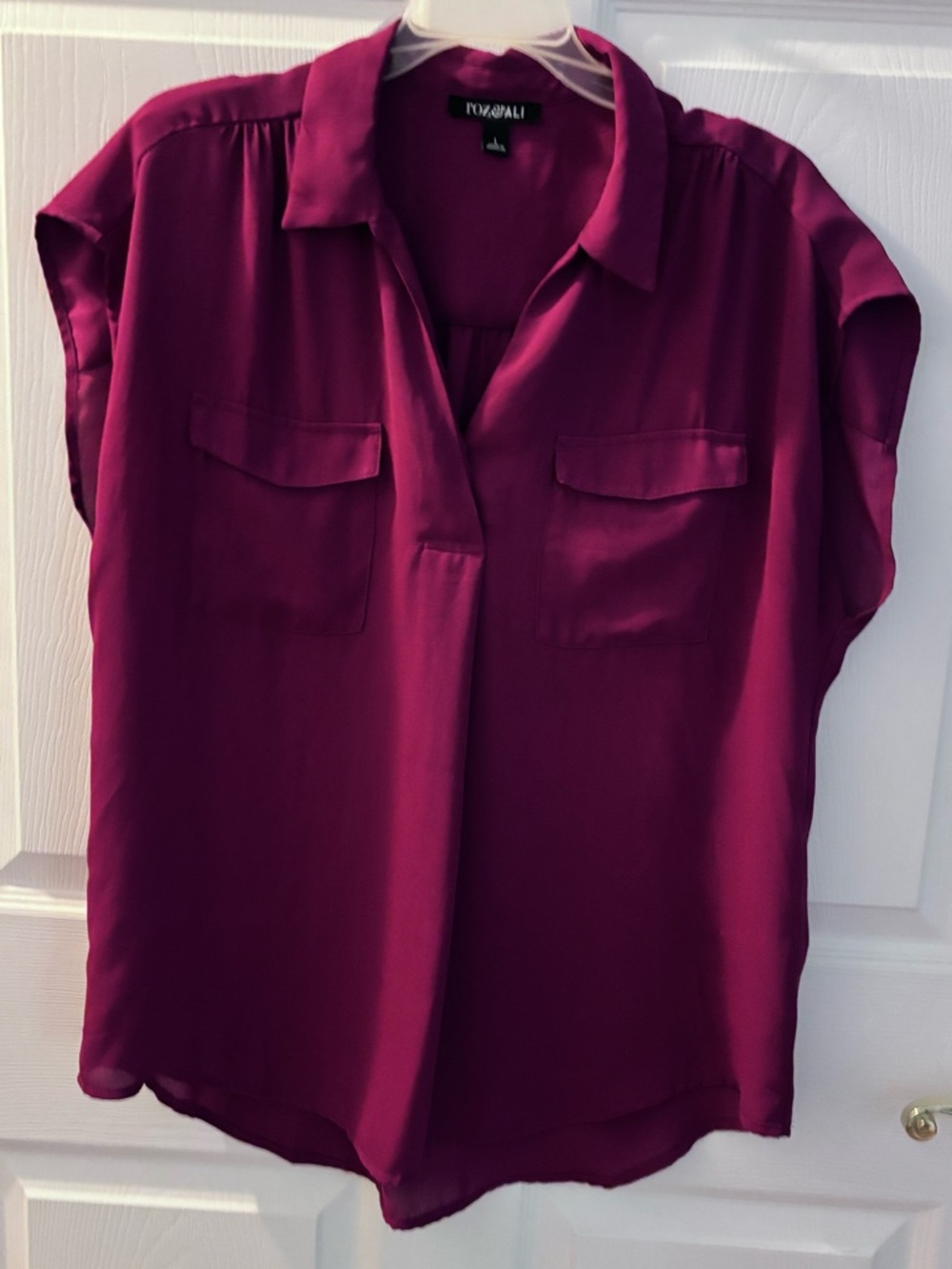 Roz & Ali Plum Short-Sleeve V-Neck Blouse